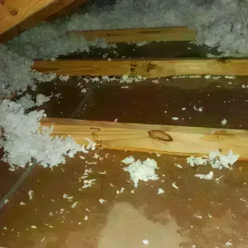 Attic Water Damage in Fall Creek, WI